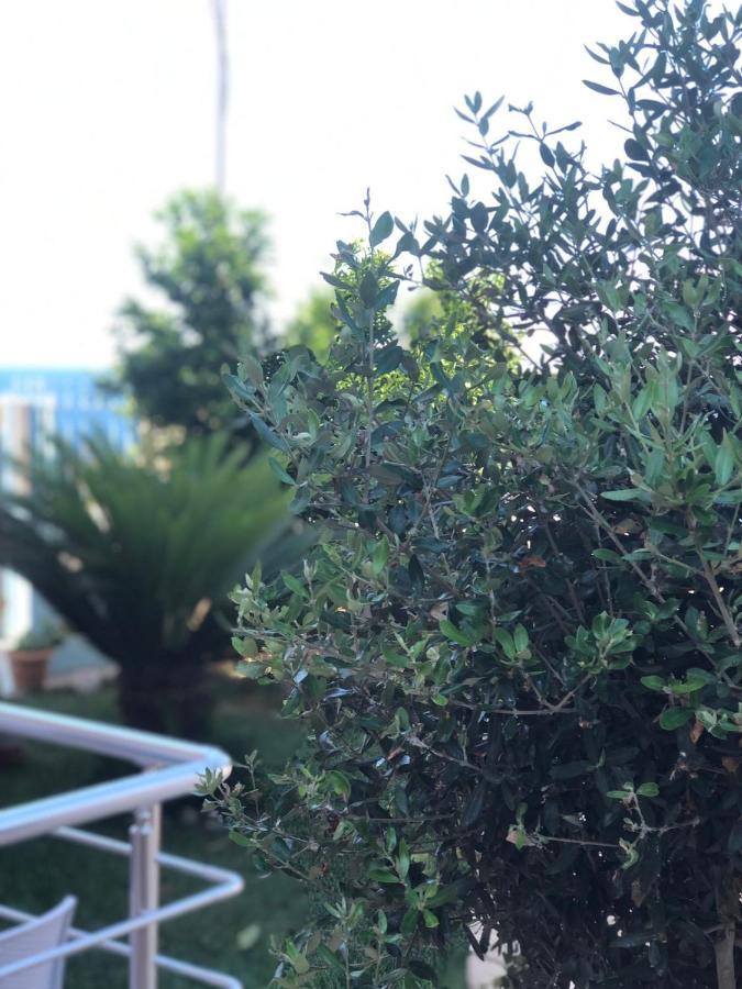 Sunset Apartments Berdenesh ซารานเดอ ภายนอก รูปภาพ